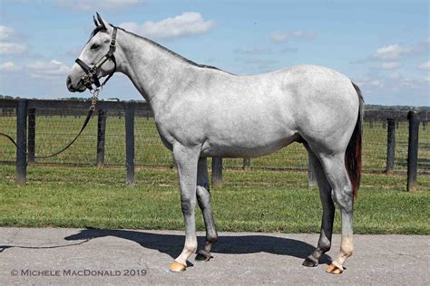 Yearling Photos