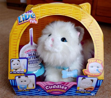 REVIEW - Little Live Pets - My Dream Kitten Cuddles - Run Jump Scrap!