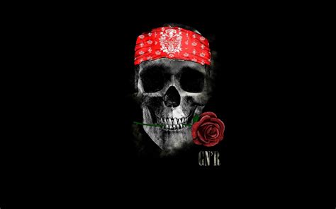 schvaľovať Stevenson nevinný guns n roses 4k wallpaper Bermad výtok tráviť