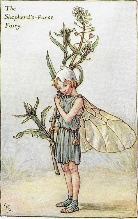 Lithographs Flower Fairies The Groundsel Fairy Vintage Print C1930 By