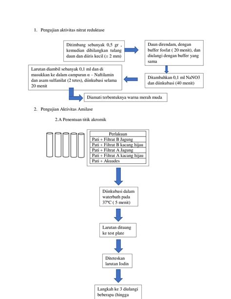 Solution Laporan Biokimia Pengujian Aktivita Enzim Studypool