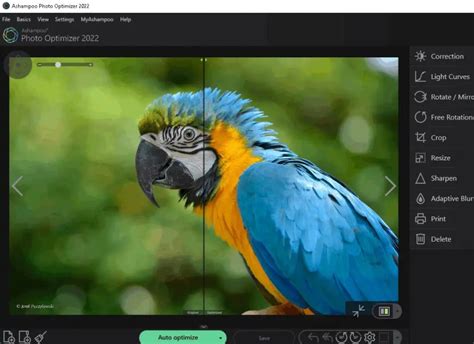 Ashampoo Photo Optimizer 2022 Free Full Version