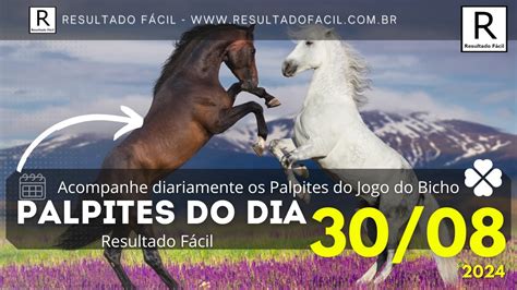 Grupo Do Cavalo No Jogo Do Bicho Verloop Io