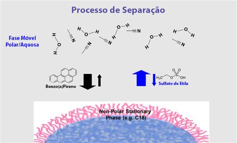 O Que é Hplc E Como Funciona