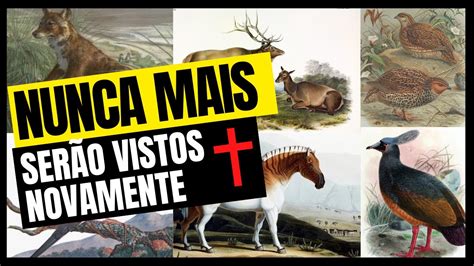 26 ANIMAIS EXTINTOS NOS ÚLTIMOS 250 ANOS 1 YouTube