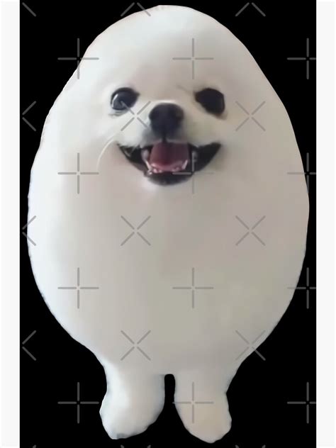 "EGGDOG Meme (Egg Dog Cute Pomeranian)" Poster for Sale by fomodesigns | Redbubble