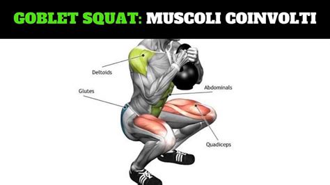 Goblet Squat Corretta Esecuzione E Muscoli Coinvolti