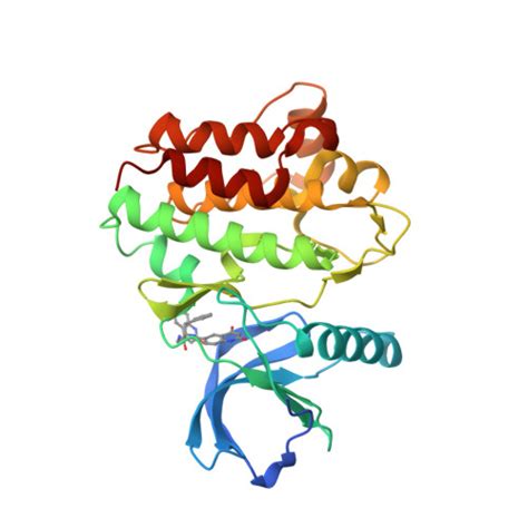 Rcsb Pdb Fe Crystal Structure Of Ack Kinase K Q Mutant In