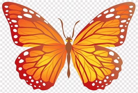 Im Genes Predise Adas De Mariposa Naranja