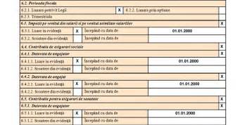 Nexus Analist Formular 010