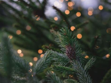 20 Old Fashioned Christmas Traditions To Recapture Holiday Magic