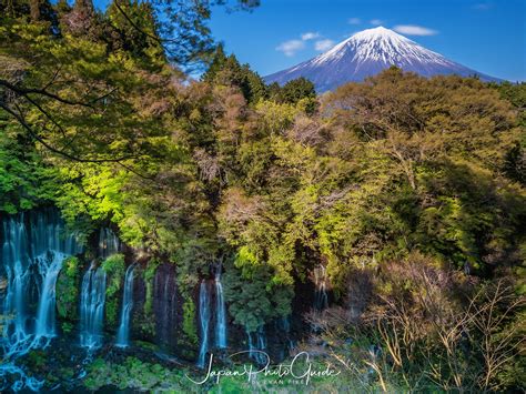 2018 Cherry Blossom Photo Tour of Japan | Mt. Fuji | Japan Photo Guide