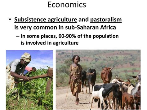 Economics Subsistence Agriculture And Pastoralism Is Very Common In Sub