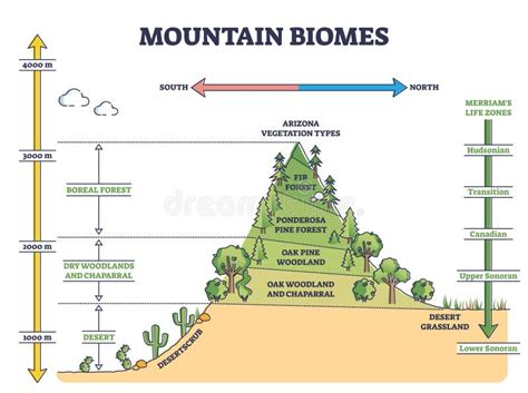 Vector Illustration With High Altitude Zones Of The Himalayas Stock