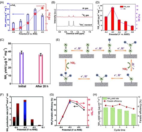 A Corresponding Nh3 Yields And Fe Of A‐feb2 Pnss At Different Download Scientific Diagram