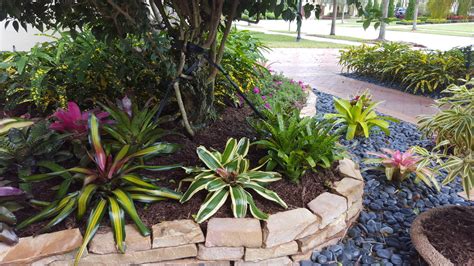 Front Yard Landscape Exotique Jardin Miami Par Tri County