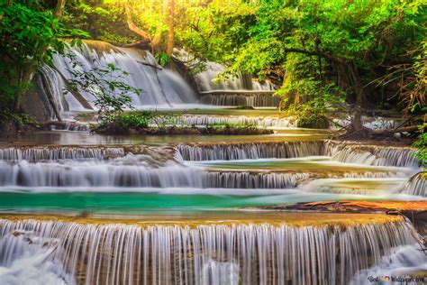 Fotografeer Die Stroompie Met Skoon Water In Die Natuurlike Groen