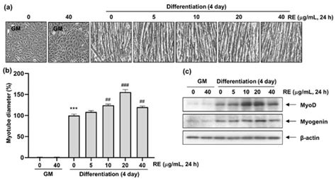 Applied Sciences Free Full Text Effects Of Rosemary Extract On