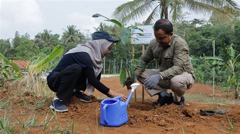 Trees4trees Tanam 1000 Pohon Buah Buahan Dan Aren Di Bukit Kedoya Dan