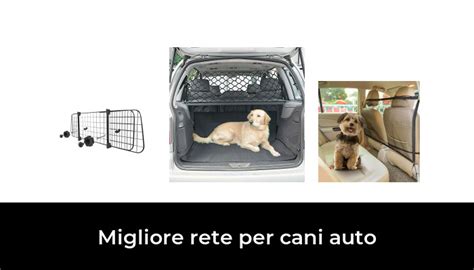 Migliore Rete Per Cani Auto Nel Secondo Gli Esperti