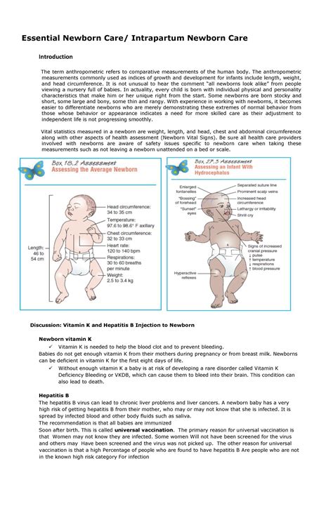 Essential Intrapartum Newborn Care Essential Newborn Care