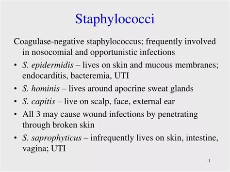 Ppt Staphylococci Powerpoint Presentation Free Download Id 3070804