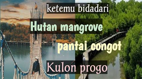 Vlog Wisata Hutan Mangrove Pantai Congot Kulon Progo YouTube