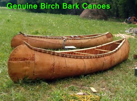 Birch Bark Canoes Picture EBaum S World