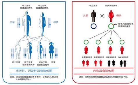 關愛聽障兒童家庭 耳聾基因免費篩查公益活動進行時 每日頭條