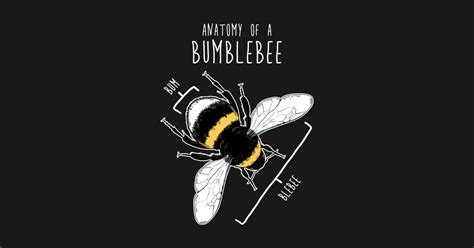Bumblebee Anatomy - Bumblebee - T-Shirt | TeePublic