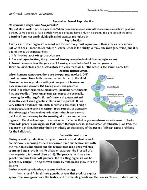 Sexual Versus Asexual Reproduction Reading Comprehension 1 Scientist