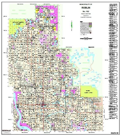 182 – ROBLIN – Repromap Ltd.