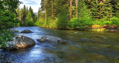 Nason Ridge Image Gallery Western Rivers Conservancy