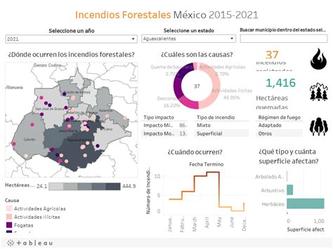 Estad Sticas De Incendios Sistema Nacional De Informaci N Forestal