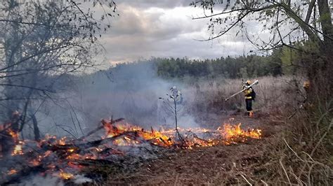 Delta Del Paraná Ya Se Quemaron Más Hectáreas En 2022 Que En Todo El