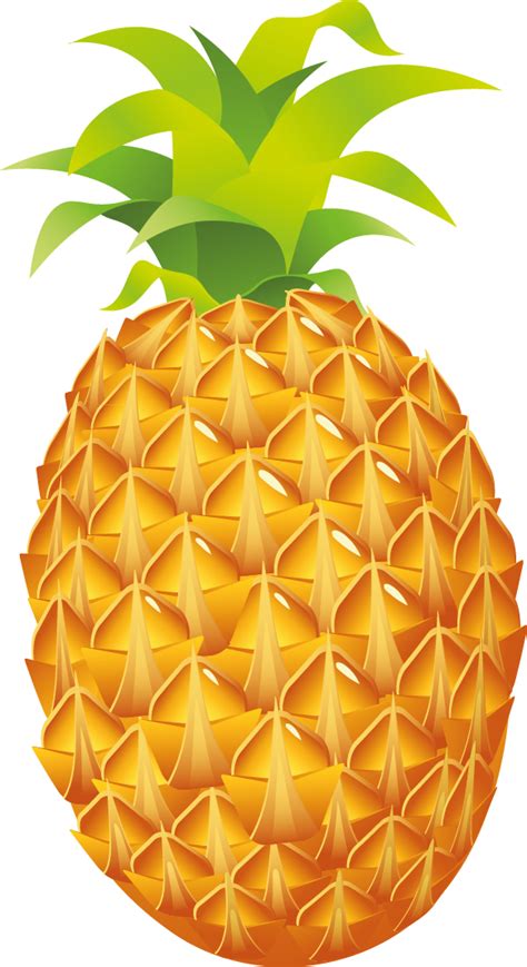 Pineapple Free To Use Cliparts Clipartix