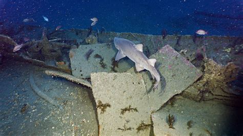 Underwater Shipwreck Inside