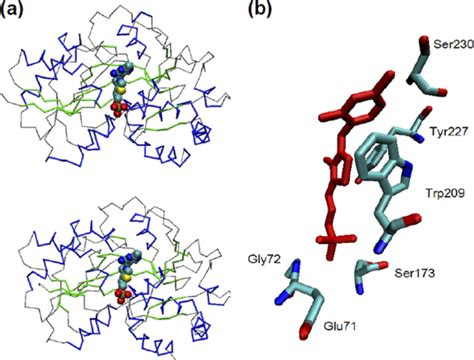 Structural Characteristics Of Tbpa Td A Comparison Of The Overall