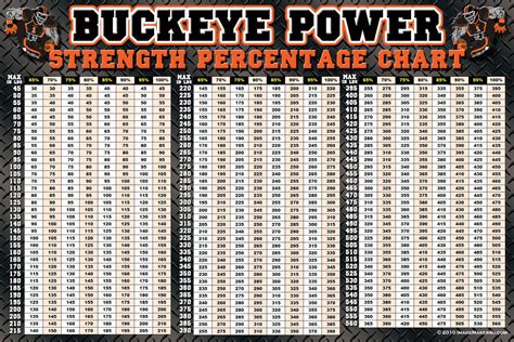 Weightlifting Max Percentage Chart