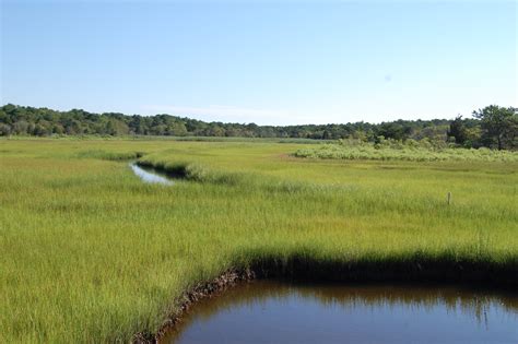 Waquoit Bay Reserve Massachusetts Nerra