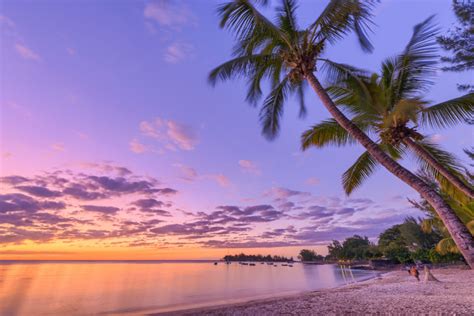 Mauritius Mezza Pensione Sul Mare Con Voli Diretti