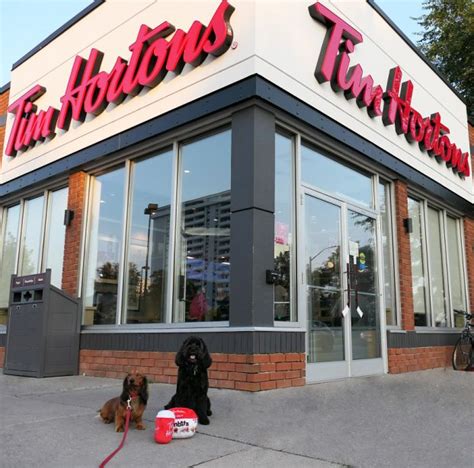 Tim Hortons’ latest merch drop is a pair of dog toys » Strategy