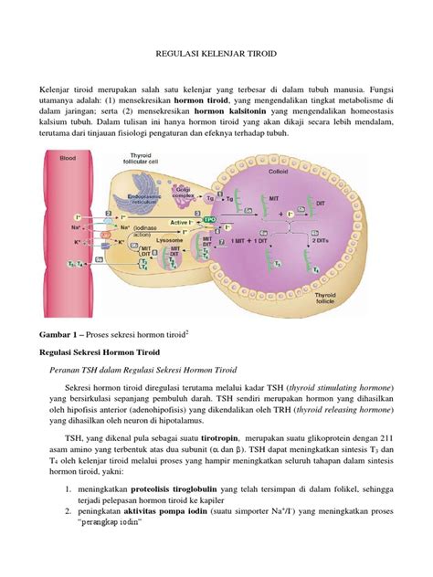 Fisiologi Kelenjar Tiroid Dan Hiperparatiroid Pdf