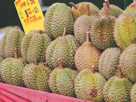 Your Ultimate Guide To Durian In Singapore