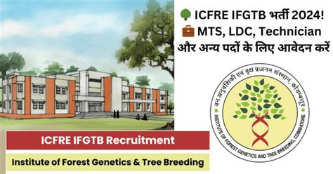 ICFRE IFGTB Recruitment 2024 MTS LDC Technician More 16 Posts