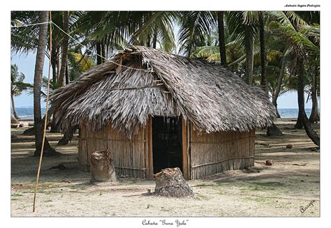 Caba A Guna Yala Isla Perro Chico En La Comunidad Ind Ge Flickr