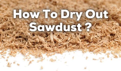 How To Dry Out Sawdust 4 Proven Methods Woodworkly