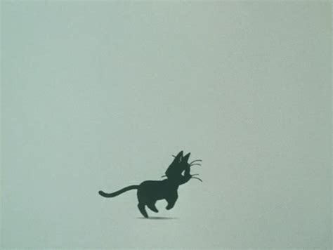 running in circles cat running gif | WiffleGif