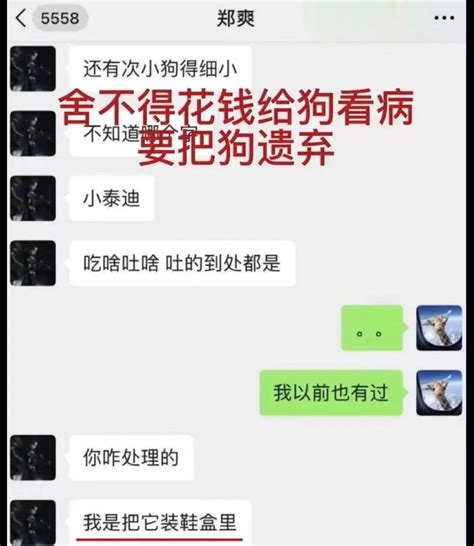 张恒爆料郑爽遗弃小狗是真的，胡彦斌在歌词中疑似证实了腾讯新闻