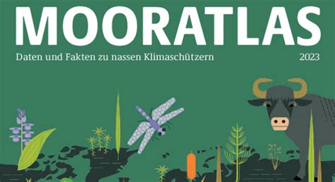 Mooratlas 2023 Moor Klimaschutz Lohnt Sich Nasse Landwirtschaft